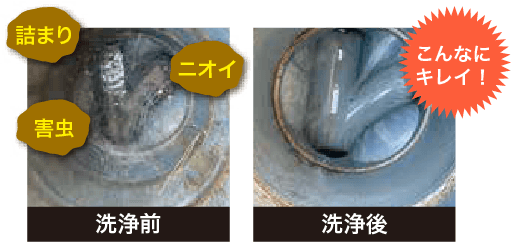 洗浄前・洗浄後ビフォーアフター